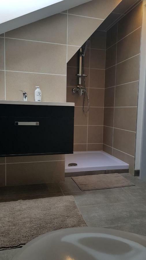 Familientreff in schöner moderner Ferienwohnung für 12 Personen im Oberharz! Sankt Andreasberg Exterior foto